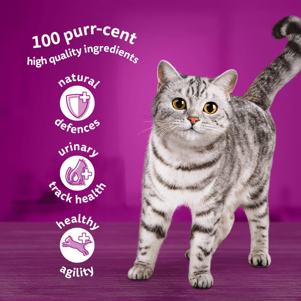 Whiskas Senior 7+ Poultry Feasts in Jelly Cat Food Pouches 12 x 85g, product image 3