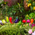 Jardin Assorted Vegetable Pot Stakes x4